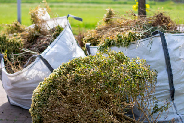Best Construction Debris Removal  in Clarkesville, GA